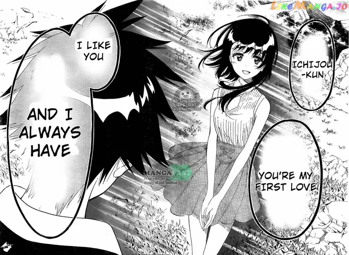 Nisekoi Chapter 225 image 11_optimized